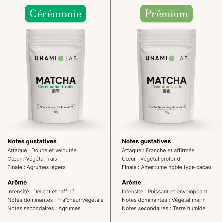 THÉ MATCHA PREMIUM