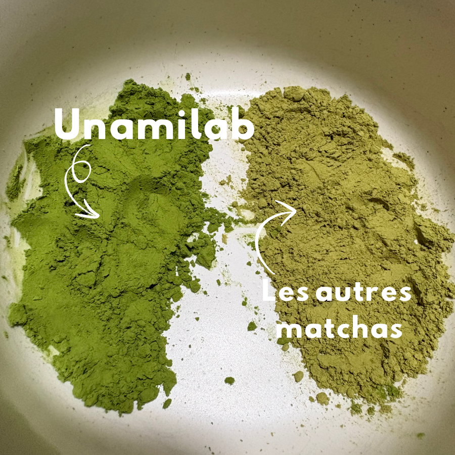 THÉ MATCHA CÉRÉMONIE